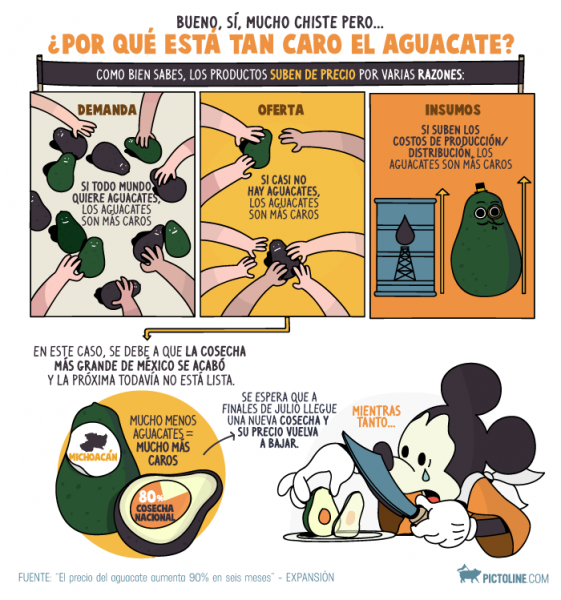 PICTOLINE-aguacate