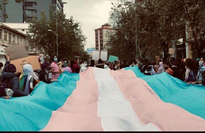 Les manifestant.e.s marchent en déployant un immense drapeau bleu, rose et blanc, représentant la communauté trans.