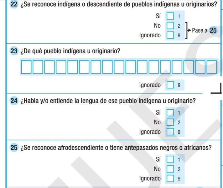 Captura de las cuatro preguntas sobre identidad indígena y afro, y el uso de lenguas indígenas.