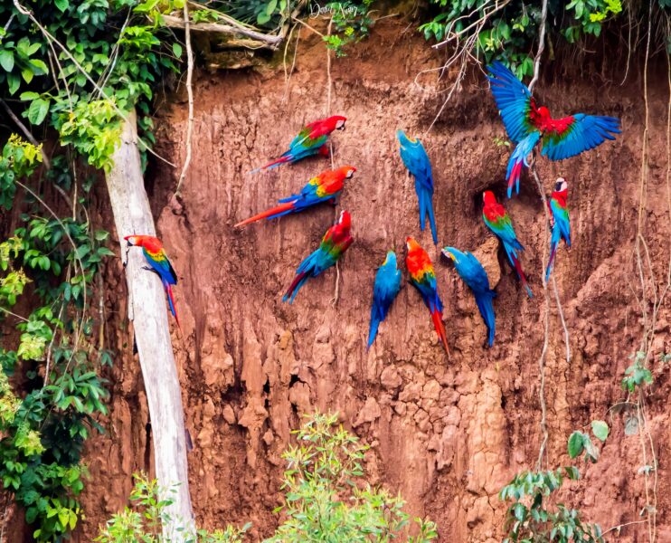 8 photos to revel in the beauty of nature in Central America and Peru